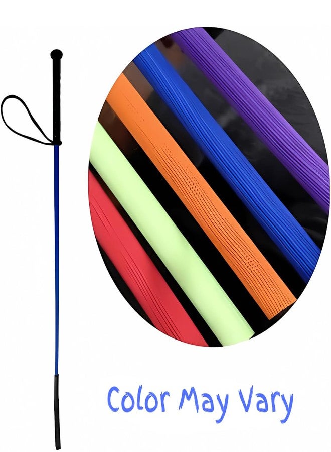 PET FUN عصا تدريب الحيوانات الأليفة من بيت فن، عصا خفيفة الوزن بطول 30 بوصة لإدارة سلوك الكلاب، مقبض مانع للانزلاق لراحة اليد، متينة وآمنة للتدريب التفاعلي (عبوة من قطعة واحدة) - Image 5